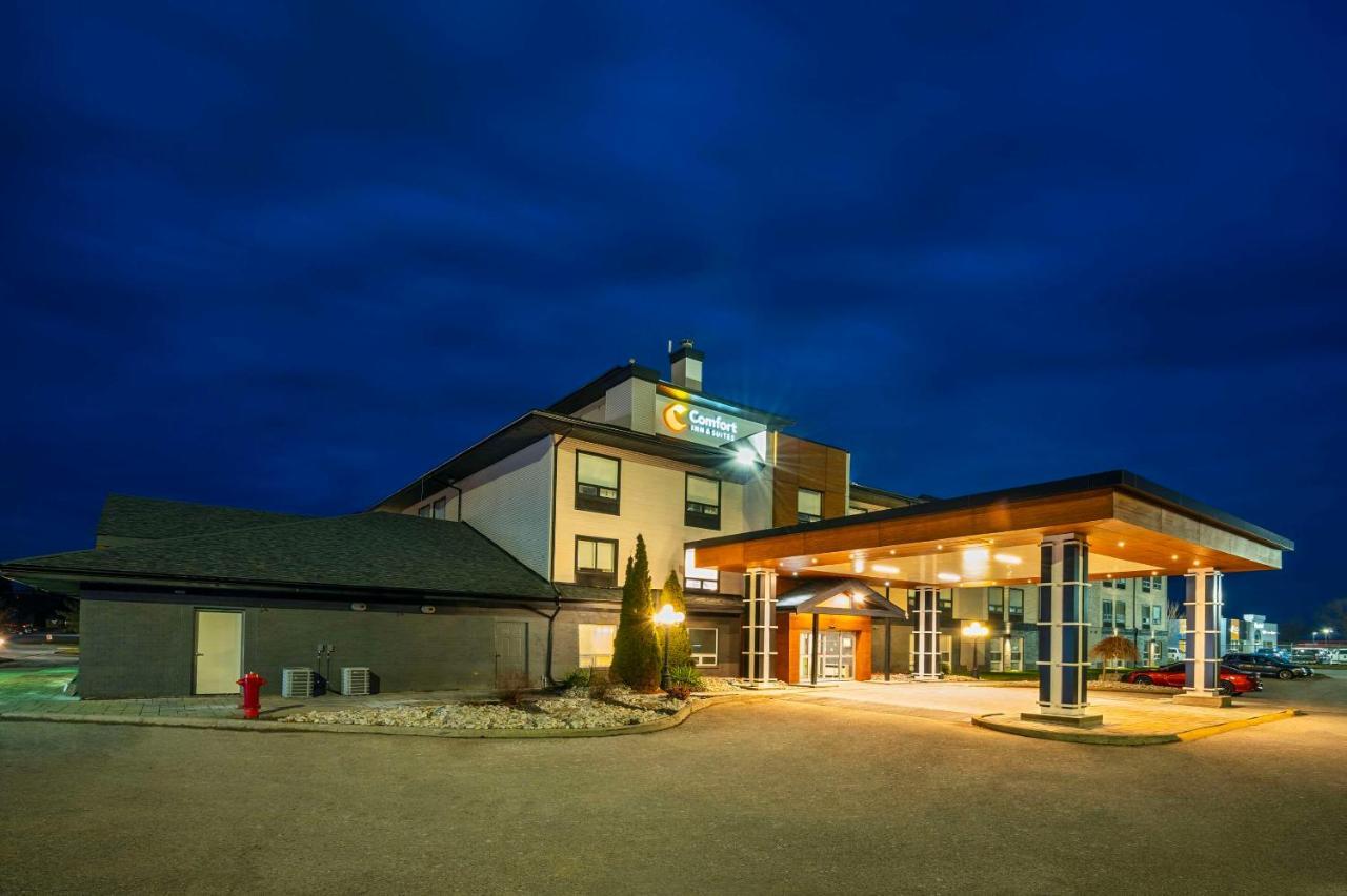 Comfort & Hotel Ingersoll