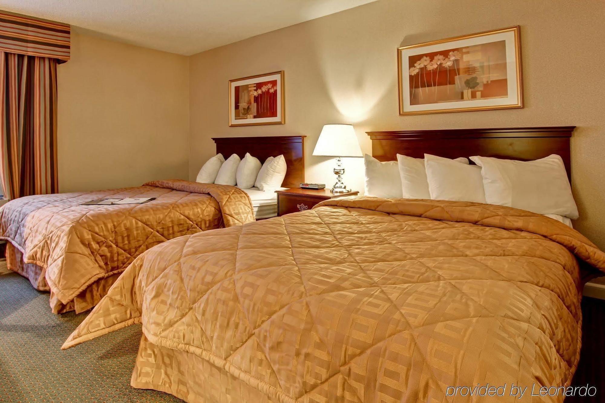 Comfort & Hotel 3*